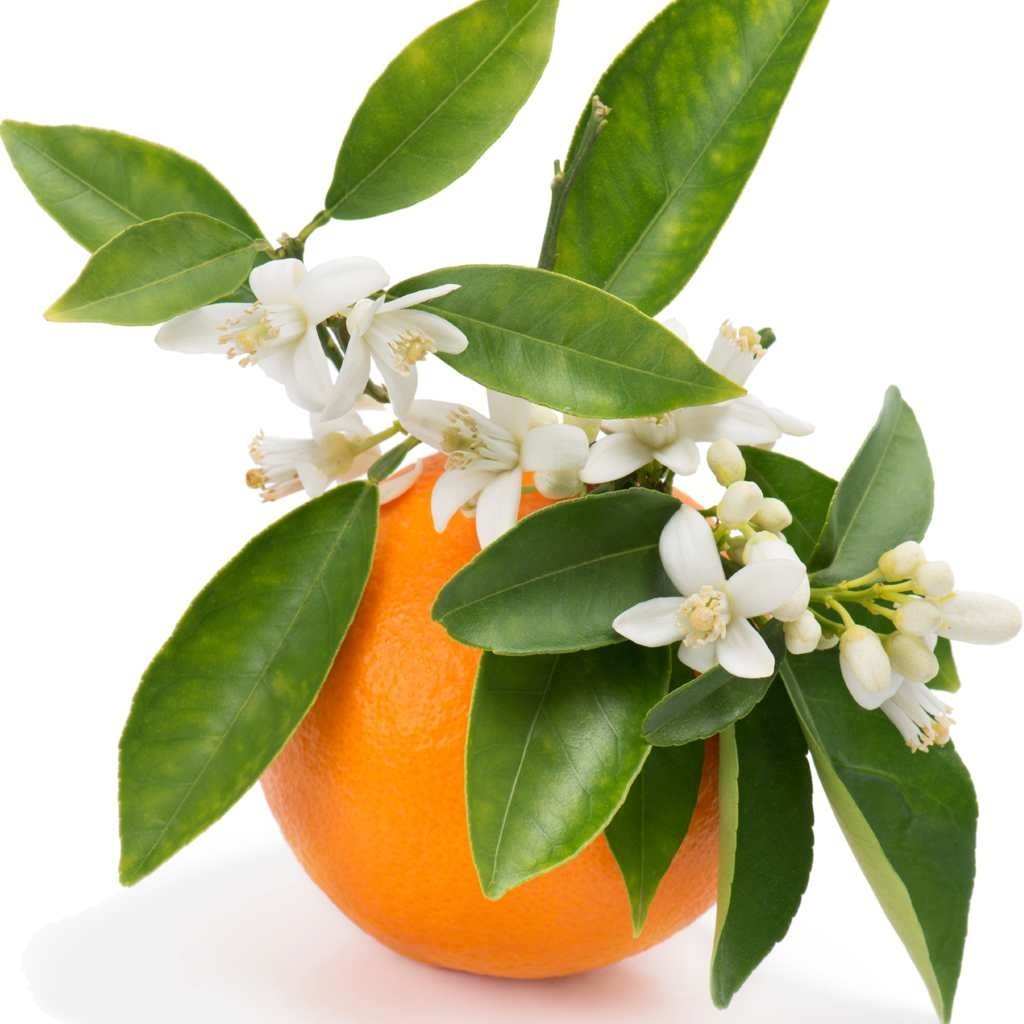 عرق بهارنارنج