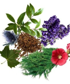 معجون آلرژی و حساسیت- سرزمین سلامتی کاکوتی