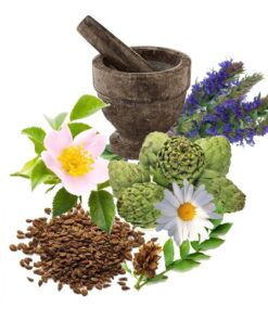 معجون معده و گوارش- سرزمین سلامتی کاکوتی