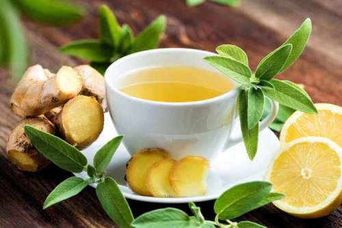 زنجبیل و فواید درمانی آن