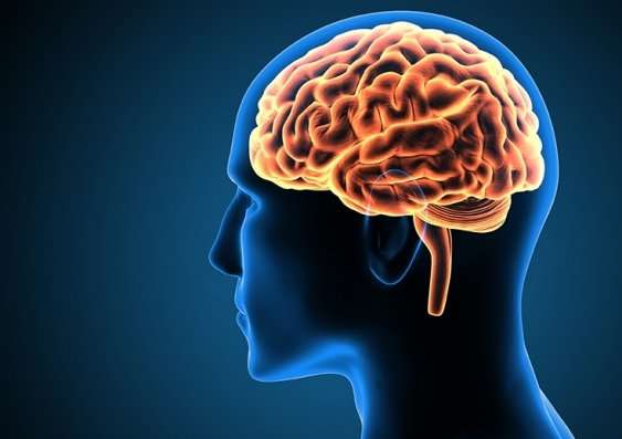 تقویت ذهن با روش‌های طب سنتی